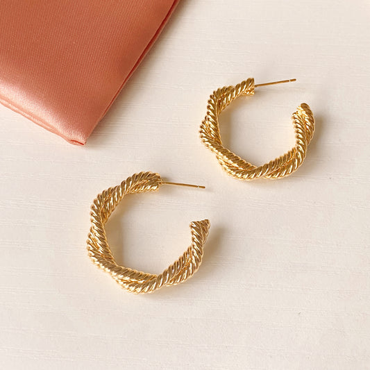Double rope hoops